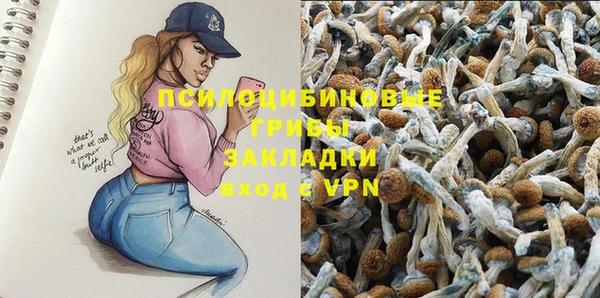 spice Няндома