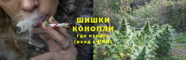 тгк Осинники