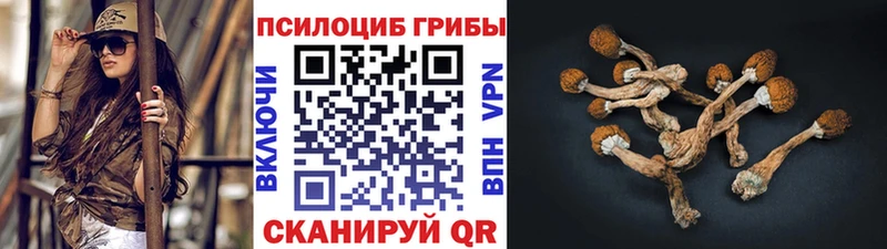 Псилоцибиновые грибы ЛСД Пошехонье