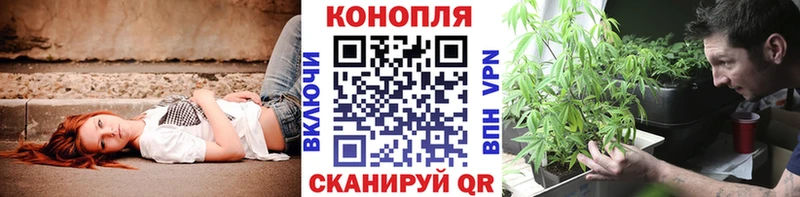 Шишки марихуана марихуана  blacksprut онион  Пошехонье  где найти наркотики 